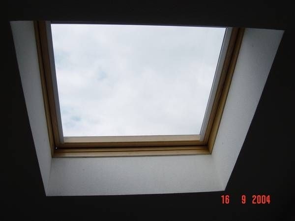 20241020_viki4