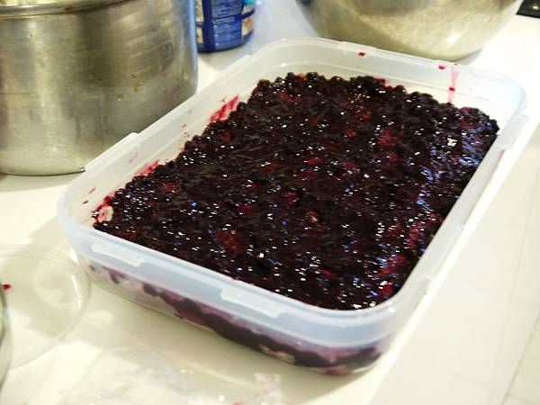 20241020_8ecvc